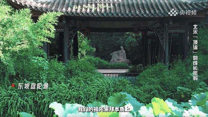 央视频-我和我的朋友
